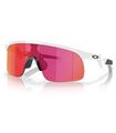 OAKLEY RESISTOR MATTE FOG PRIZM FIELD